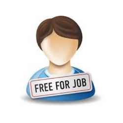 وظايف اون لاين