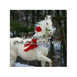 حكم غيرت حياتى