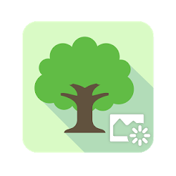 ASUS DayScene - Live wallpaper