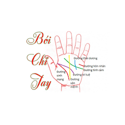 Xem chỉ tay xem bói chỉ tay