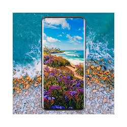 Beach Wallpapers - HD  4K Backgrounds