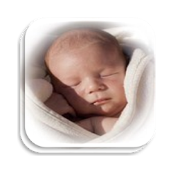 Desarrollo del Bebé