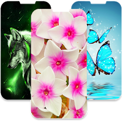 خلفيات الموبايل 4K