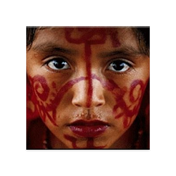 Traductor Wayuunaiki