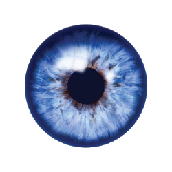 Traning for eyes تنزيل Traning for eyes Free لـ Android