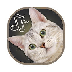 الأصوات القط نغمات