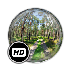 Panorama WallpaperForestRoads