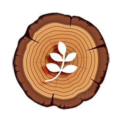 CM 13LAOS 13 Material Wood