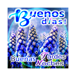 Buenos Dias Tardes Noches