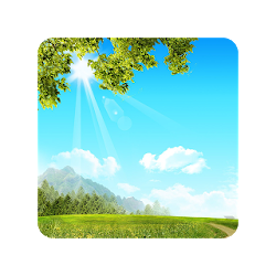 Summer Nature Live Wallpaper