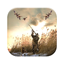 بطة الصيد 3D غواص البط