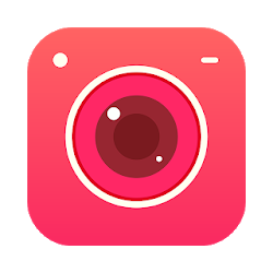 Analog Film Paris - Palette Paris London Korea