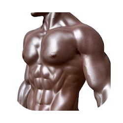 Rutinas de Gimnasio Fitness