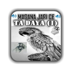 Magana Jari Ce Ta Daya 1 - Audio Mp3 تنزيل Magana Jari Ce Ta Daya 1 - Audio Mp3 Free لـ Android