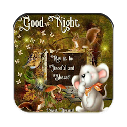 Good Night Wishes  Blessing