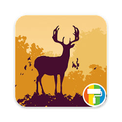 Autumn ASUS ZenUI Theme