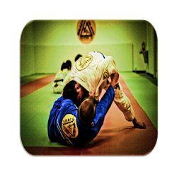 تقنيات الجودو