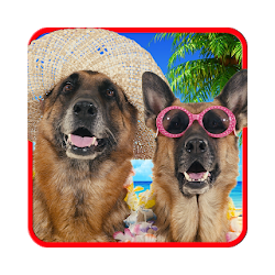 يتحدث الكلاب