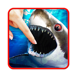 تحطيم القرش