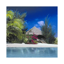 Caribbean Beach Live Wallpaper