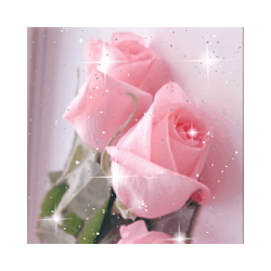 Pretty Pink Roses Live Wallpap