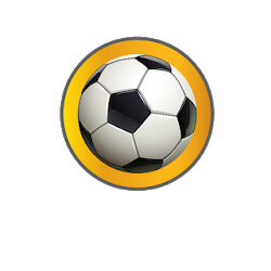 Vive la copa américa 2015
