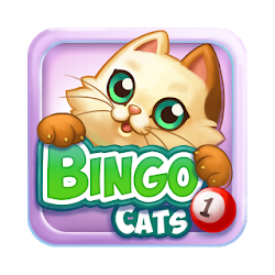 Bingo Cats