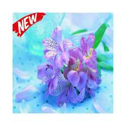 خلفيات روعة للزهور