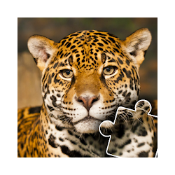 Animals Photo Jigsaw Puzzle for kids  toddlers