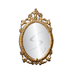 Galaxy S5 MirrorS Five Mirror