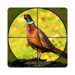 مطلق النار الدراج القوس والنشاب لعبة صيد الطيور F