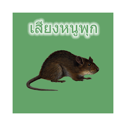 فئران الحقل سليمة