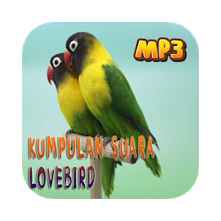 Masteran Suara Burung Lovebird
