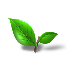 Shifa Repertory Homoeopathy