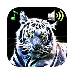 يبدو الحيوان نغمات