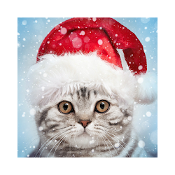 Christmas Photo Frames Effects  Cards Art