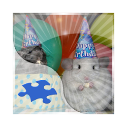 Chinchillas Jigsaw Puzzles