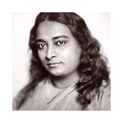 YogaNanda Yogi