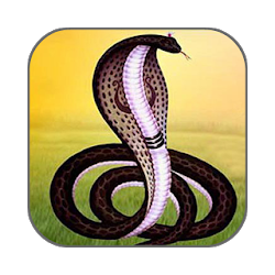 Goga Maharaj Ringtones