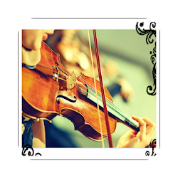 Learn to play the violin step by step