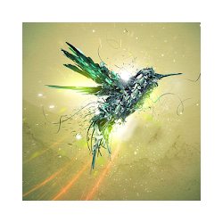 الطيور لايف للجدران