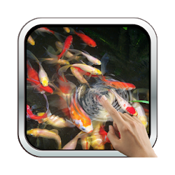 Baby-Koi Water Effect