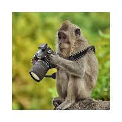 صور مضحكة 37