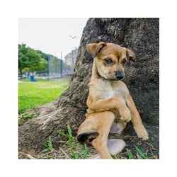 مضحك الصور والنكات