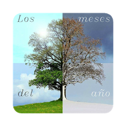Los Meses del Año