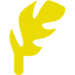 SPS- Best Sketchware Projects Sharing App