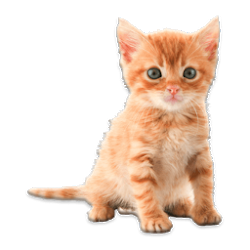 تنزيل ملصقات الحيوان Free لـ Android