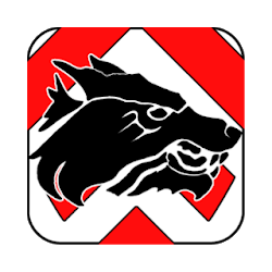 Sturmwölfe Jugger Bielefeld