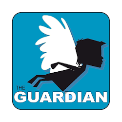 The Guardian TDV Missions