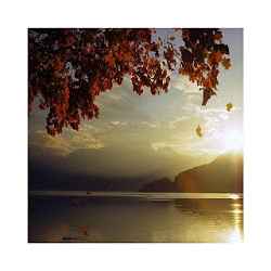 موسيقى هادئة بدون نت